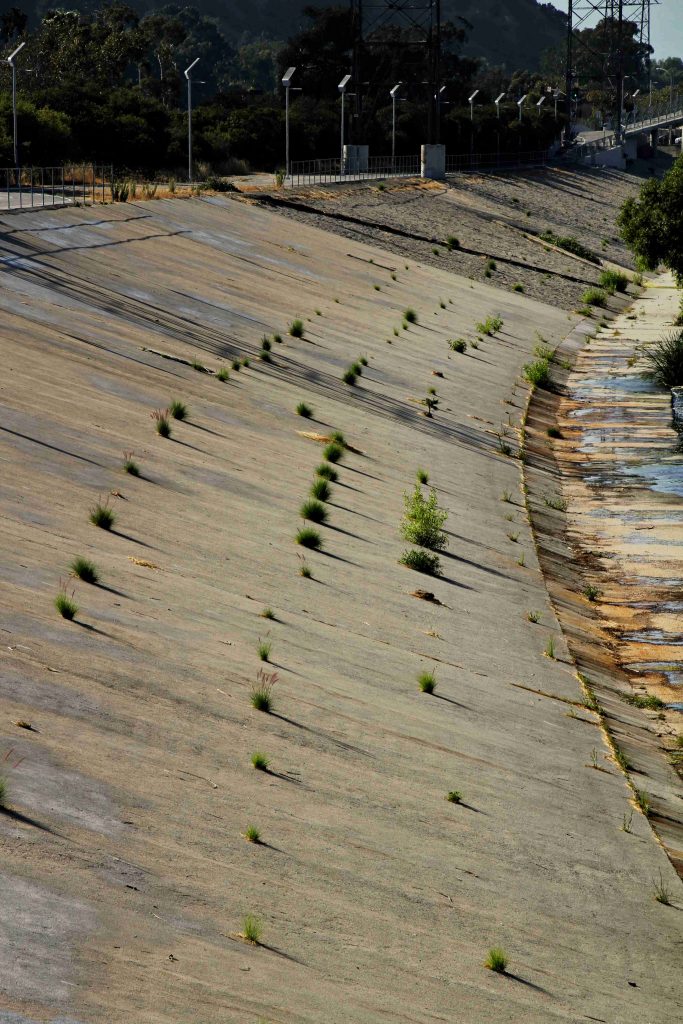 concrete trapezoidal river bank with plants growing in cracks
