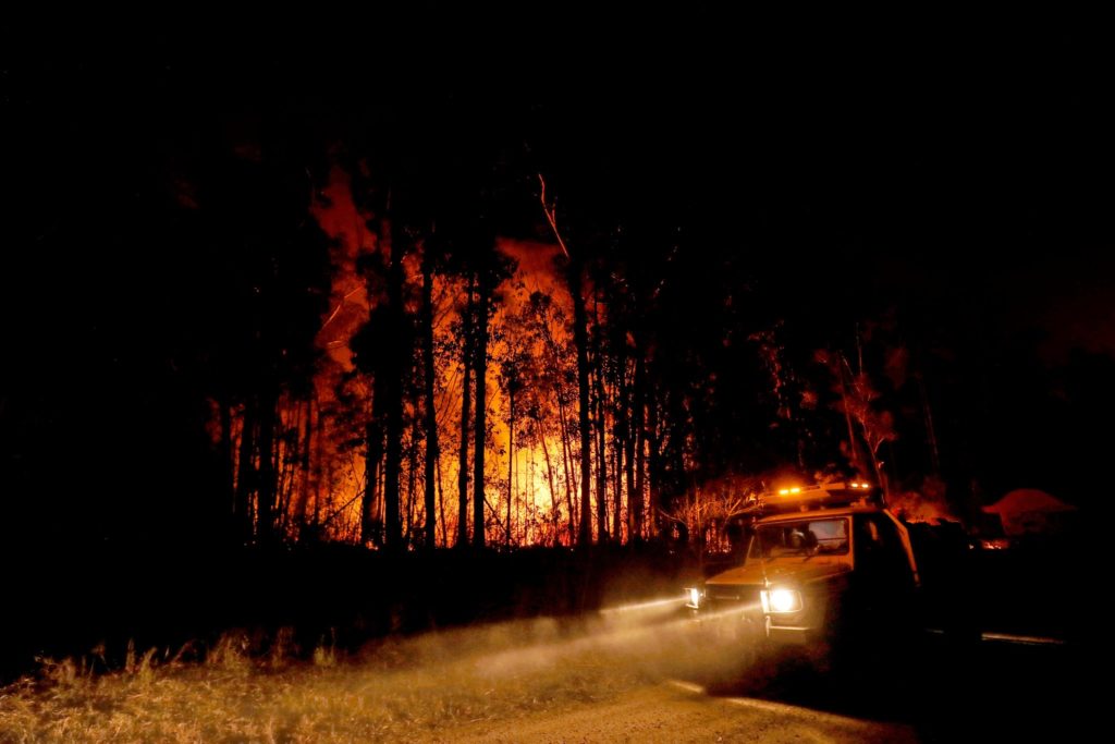 Forest on  fire, January 2, 2020 in country Victoria, Australia. Photo credit: Traynor/Getty Images.
